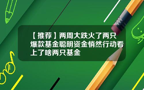 【推荐】两周大跌火了两只爆款基金聪明资金悄然行动看上了啥两只基金