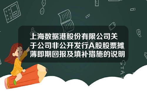 上海数据港股份有限公司关于公司非公开发行A股股票摊薄即期回报及填补措施的说明-上海数据港有限公司