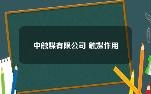 中触媒有限公司 触媒作用