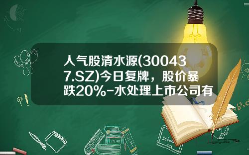 人气股清水源(300437.SZ)今日复牌，股价暴跌20%-水处理上市公司有哪些