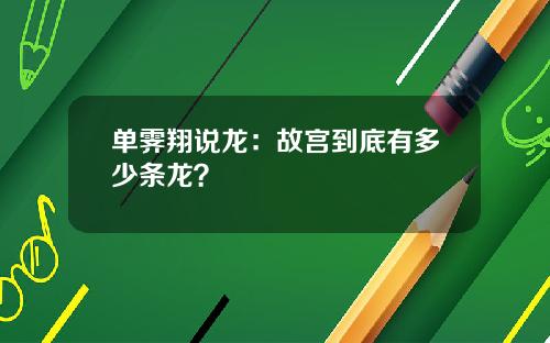 单霁翔说龙：故宫到底有多少条龙？