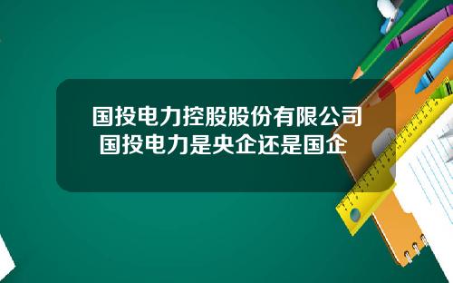 国投电力控股股份有限公司 国投电力是央企还是国企