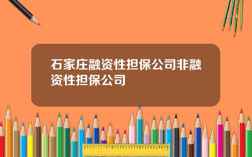 石家庄融资性担保公司非融资性担保公司