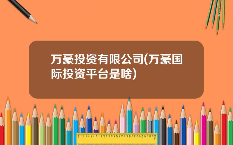 万豪投资有限公司(万豪国际投资平台是啥)