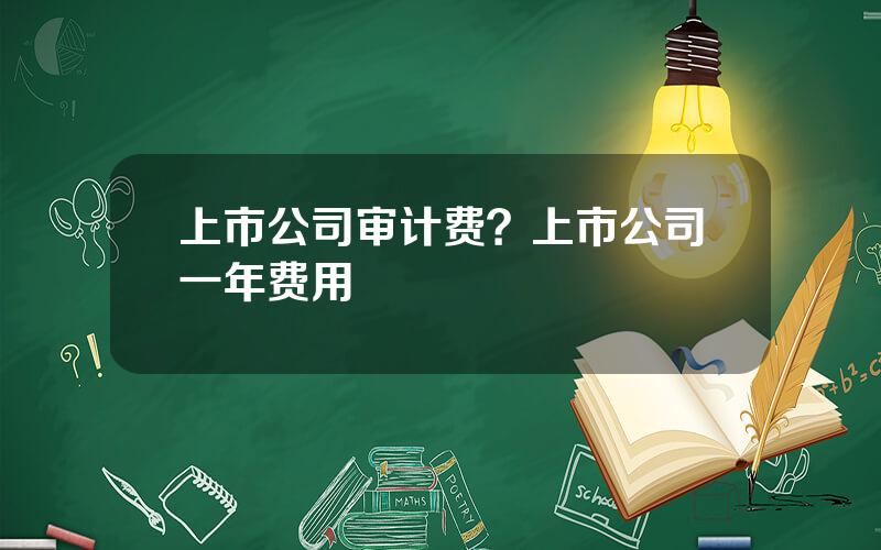 上市公司审计费？上市公司一年费用