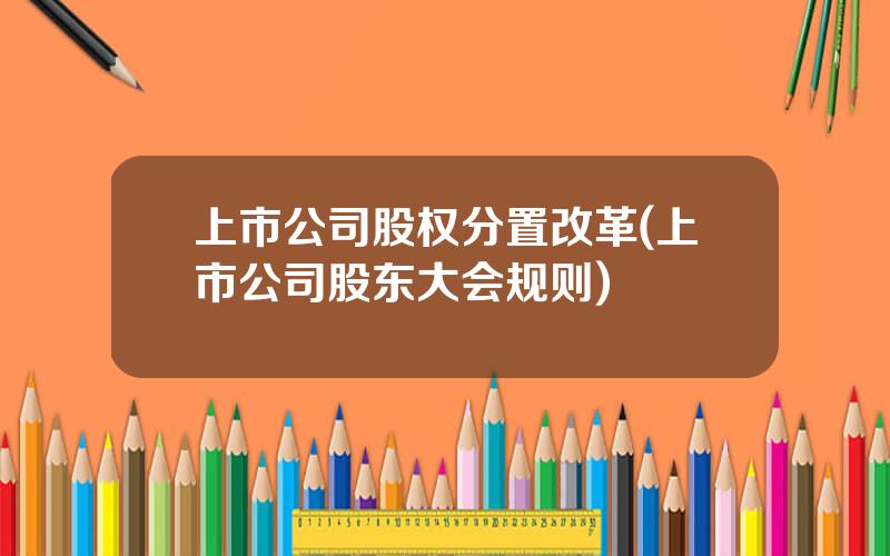 上市公司股权分置改革(上市公司股东大会规则)