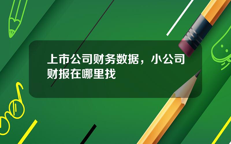 上市公司财务数据，小公司财报在哪里找