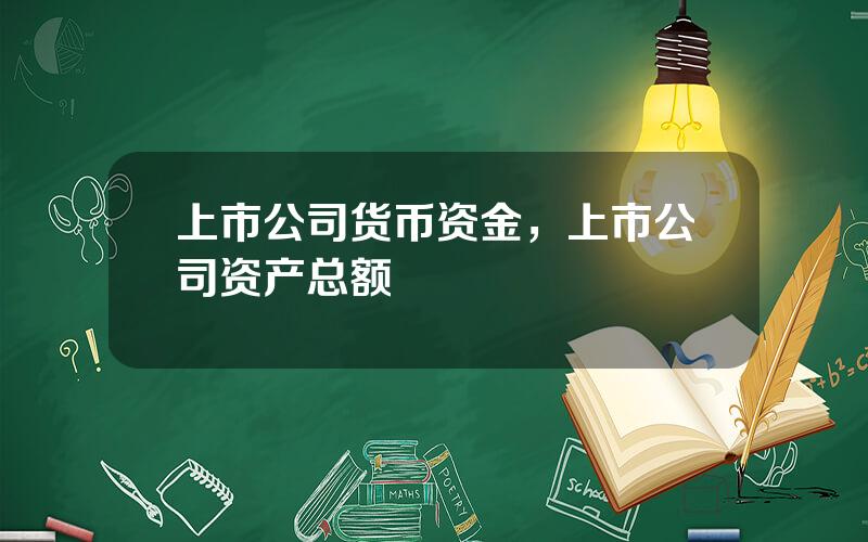 上市公司货币资金，上市公司资产总额