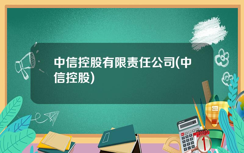 中信控股有限责任公司(中信控股)