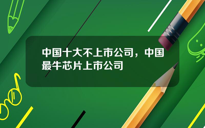 中国十大不上市公司，中国最牛芯片上市公司