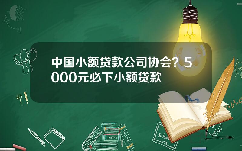 中国小额贷款公司协会？5000元必下小额贷款