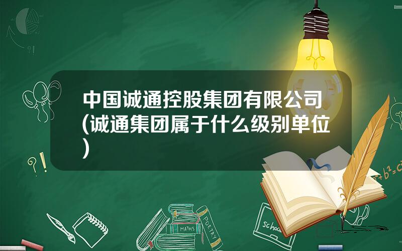 中国诚通控股集团有限公司(诚通集团属于什么级别单位)