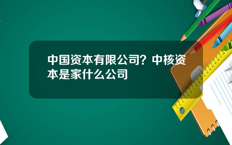 中国资本有限公司？中核资本是家什么公司