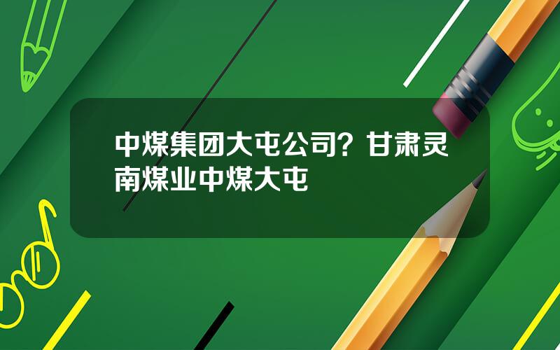 中煤集团大屯公司？甘肃灵南煤业中煤大屯