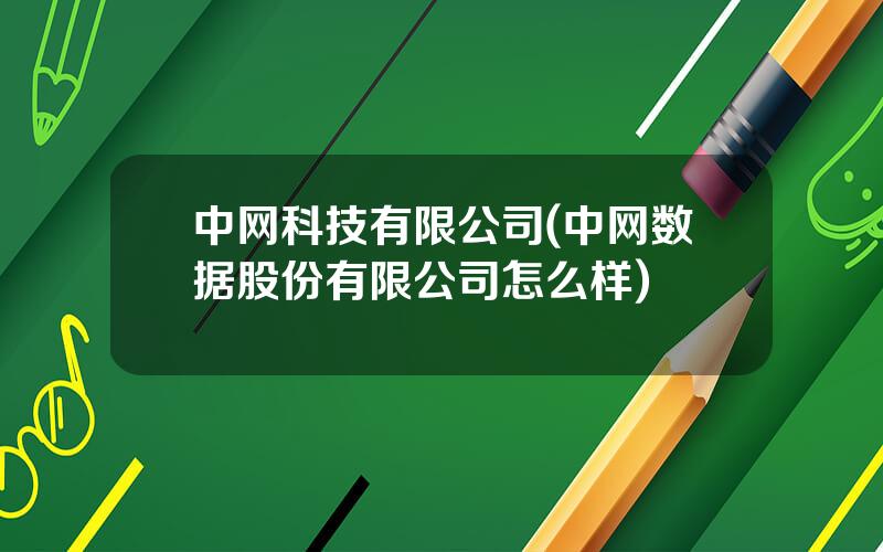 中网科技有限公司(中网数据股份有限公司怎么样)