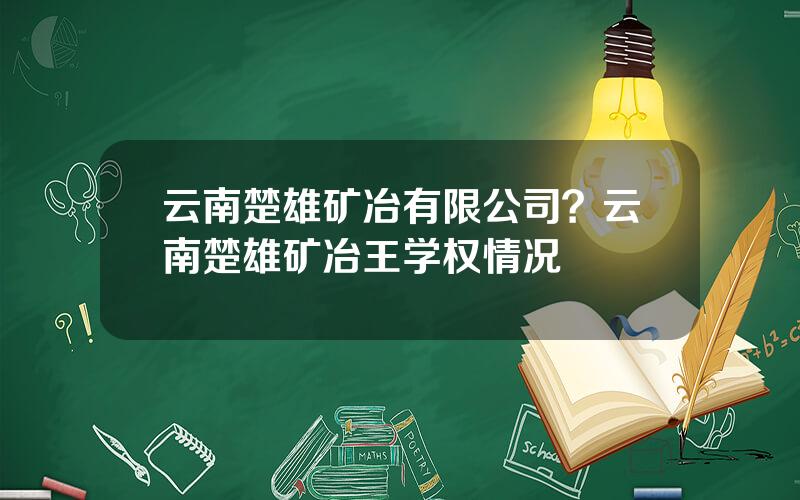 云南楚雄矿冶有限公司？云南楚雄矿冶王学权情况