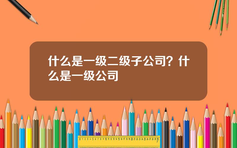 什么是一级二级子公司？什么是一级公司