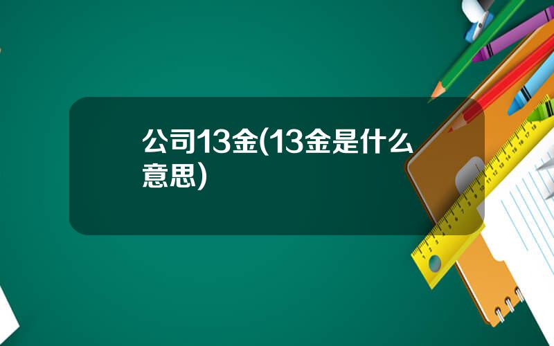 公司13金(13金是什么意思)