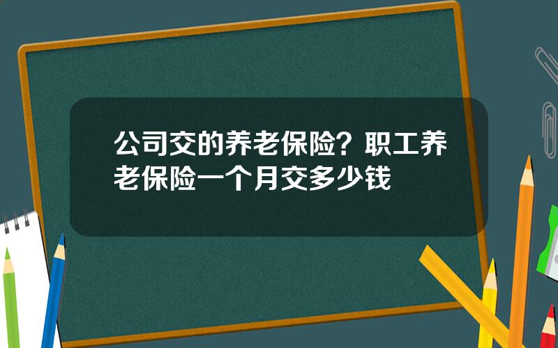 公司交的养老保险？职工养老保险一个月交多少钱