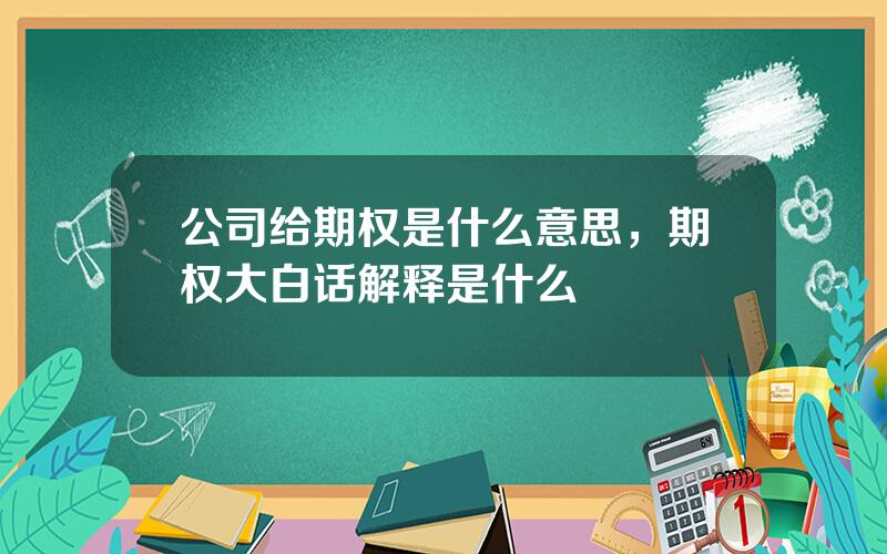 公司给期权是什么意思，期权大白话解释是什么