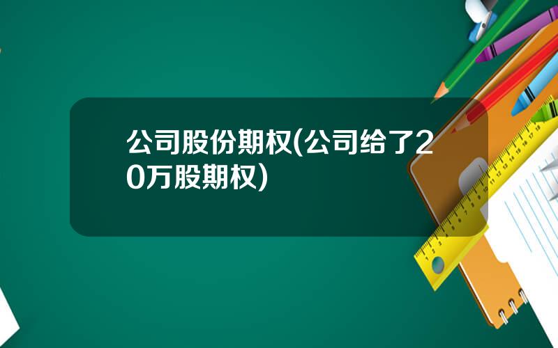 公司股份期权(公司给了20万股期权)