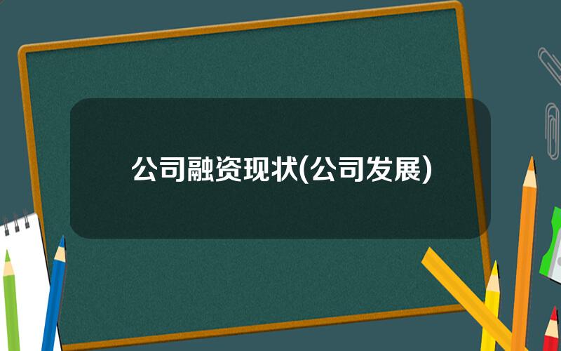 公司融资现状(公司发展)