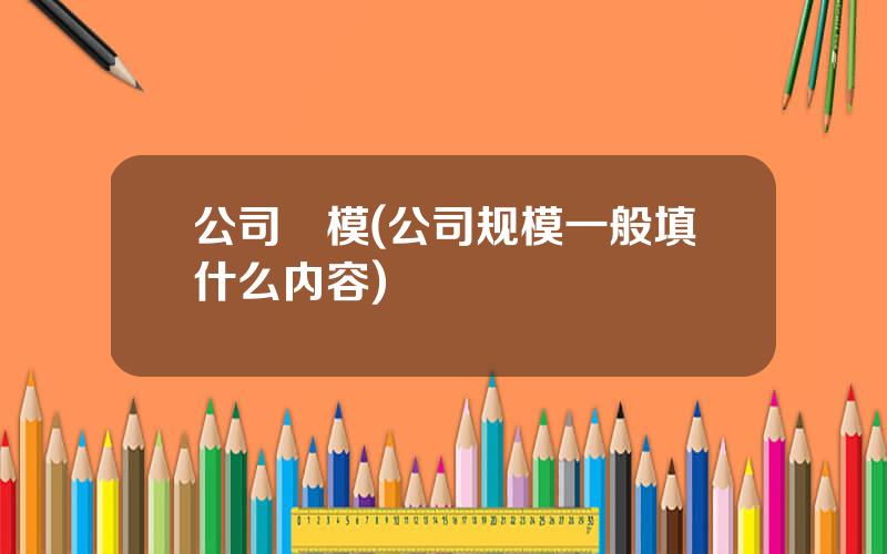 公司規模(公司规模一般填什么内容)