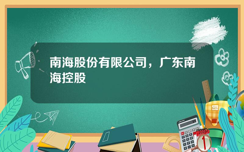 南海股份有限公司，广东南海控股