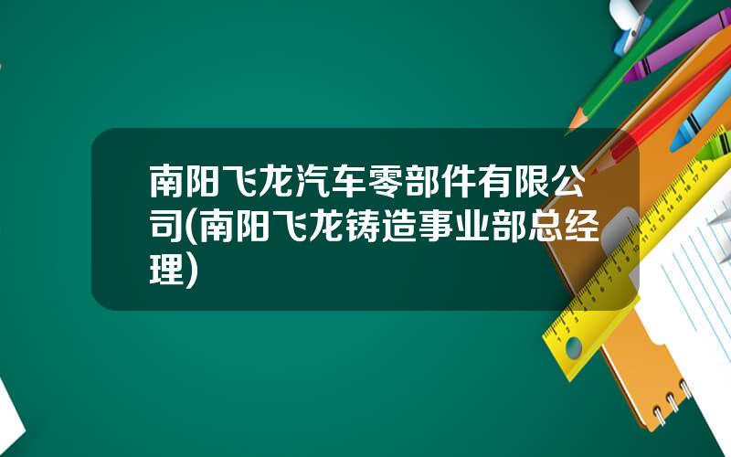 南阳飞龙汽车零部件有限公司(南阳飞龙铸造事业部总经理)