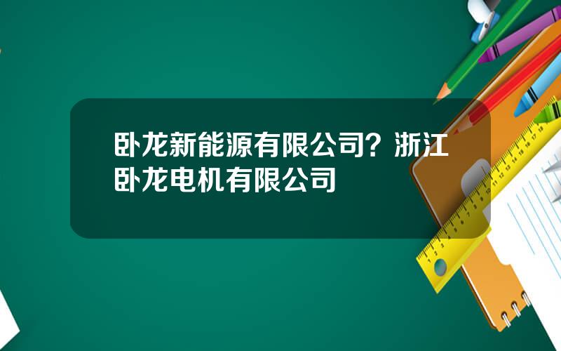 卧龙新能源有限公司？浙江卧龙电机有限公司