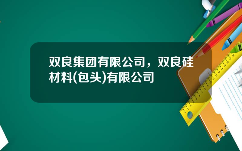 双良集团有限公司，双良硅材料(包头)有限公司