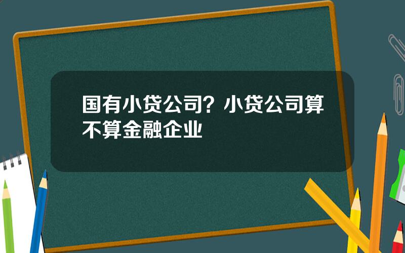 国有小贷公司？小贷公司算不算金融企业