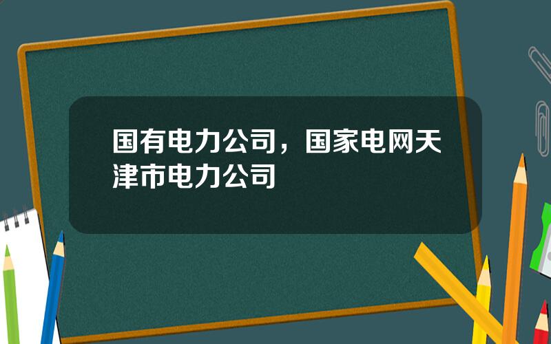 国有电力公司，国家电网天津市电力公司