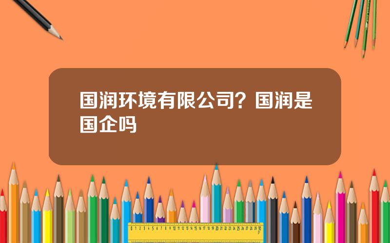 国润环境有限公司？国润是国企吗