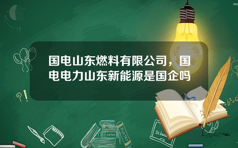 国电山东燃料有限公司，国电电力山东新能源是国企吗