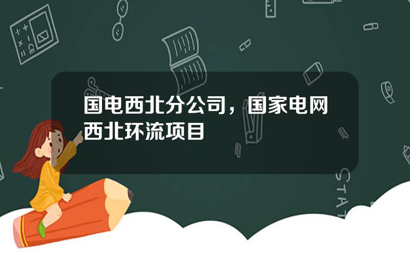 国电西北分公司，国家电网西北环流项目