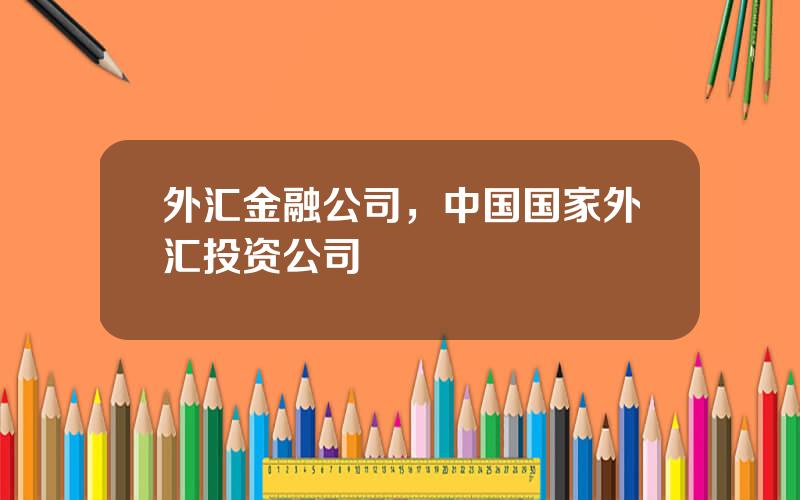 外汇金融公司，中国国家外汇投资公司