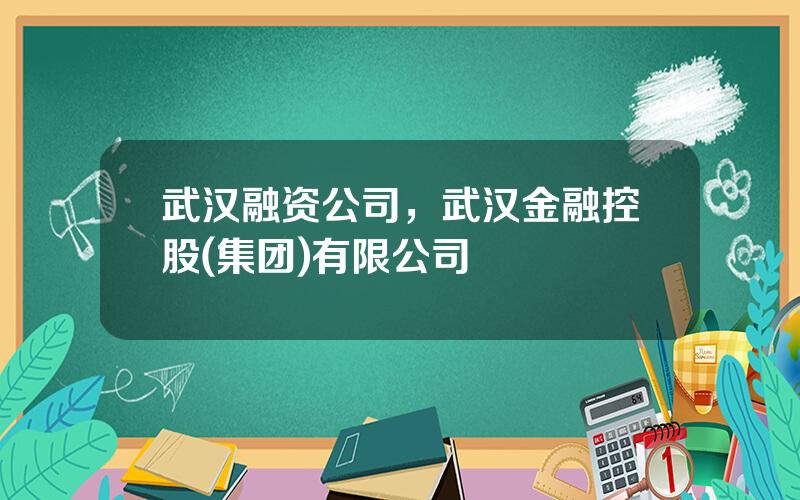 武汉融资公司，武汉金融控股(集团)有限公司