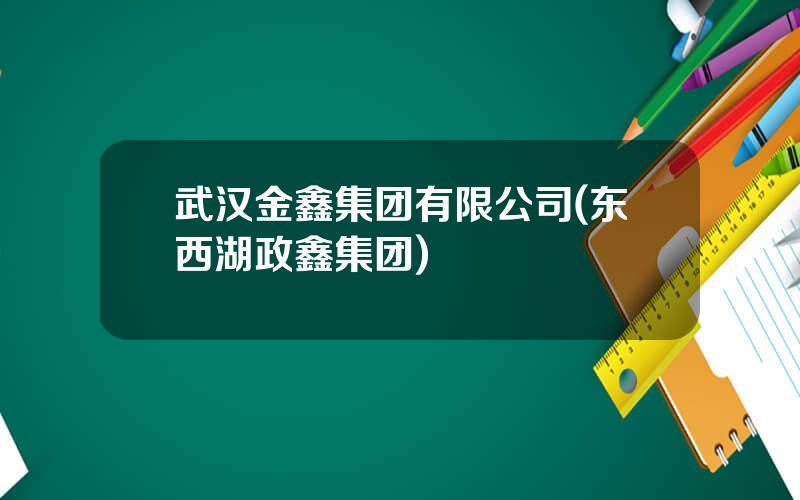 武汉金鑫集团有限公司(东西湖政鑫集团)