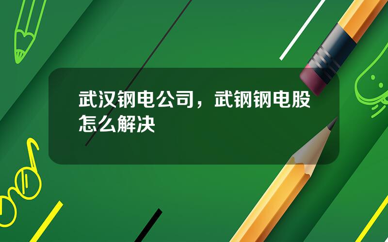 武汉钢电公司，武钢钢电股怎么解决