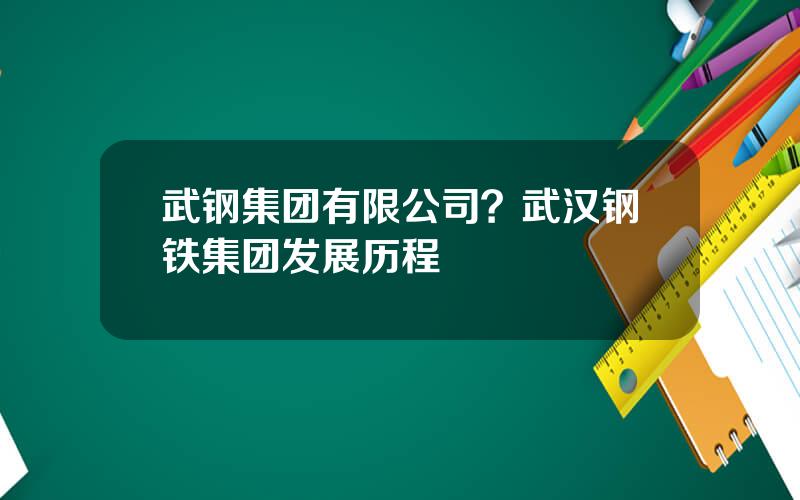 武钢集团有限公司？武汉钢铁集团发展历程