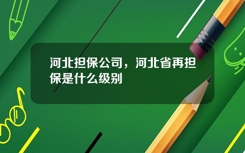 河北担保公司，河北省再担保是什么级别