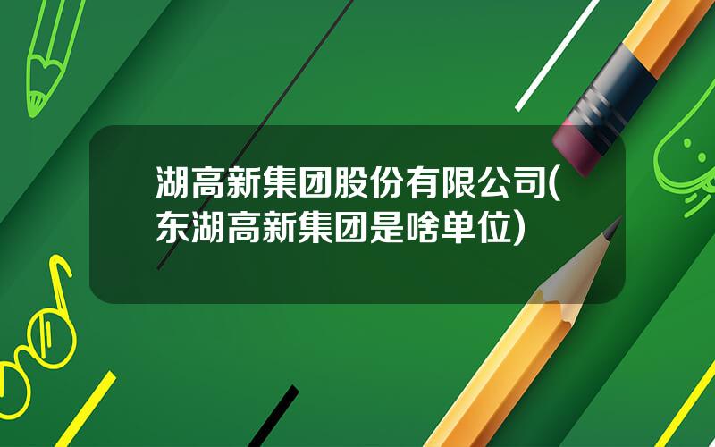 湖高新集团股份有限公司(东湖高新集团是啥单位)