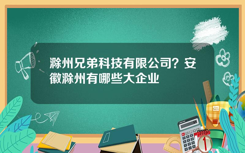 滁州兄弟科技有限公司？安徽滁州有哪些大企业